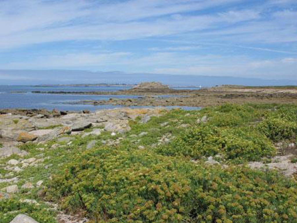 156 ILE DE HOEDIC_000066.jpg